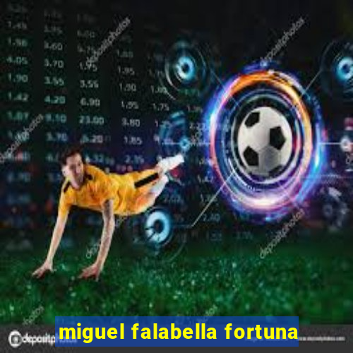 miguel falabella fortuna